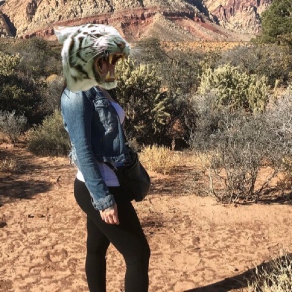 Meet your Posher, Reeva - Picture 1 of 7